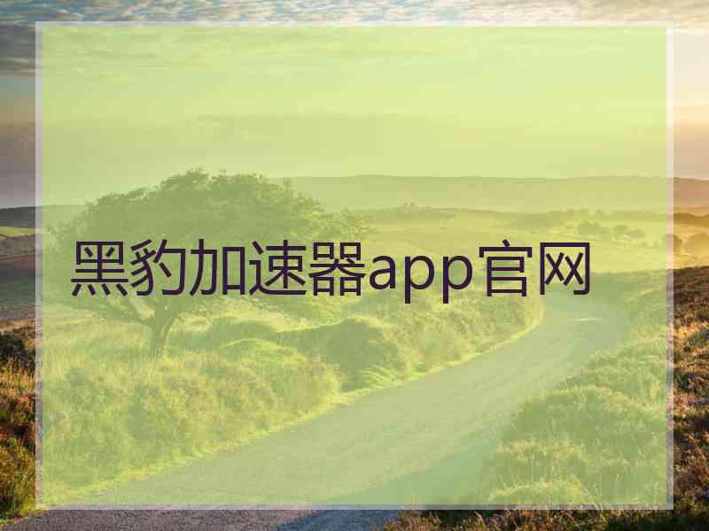 黑豹加速器app官网