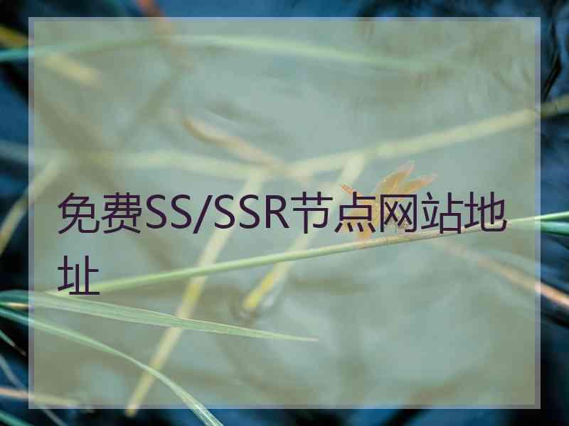 免费SS/SSR节点网站地址