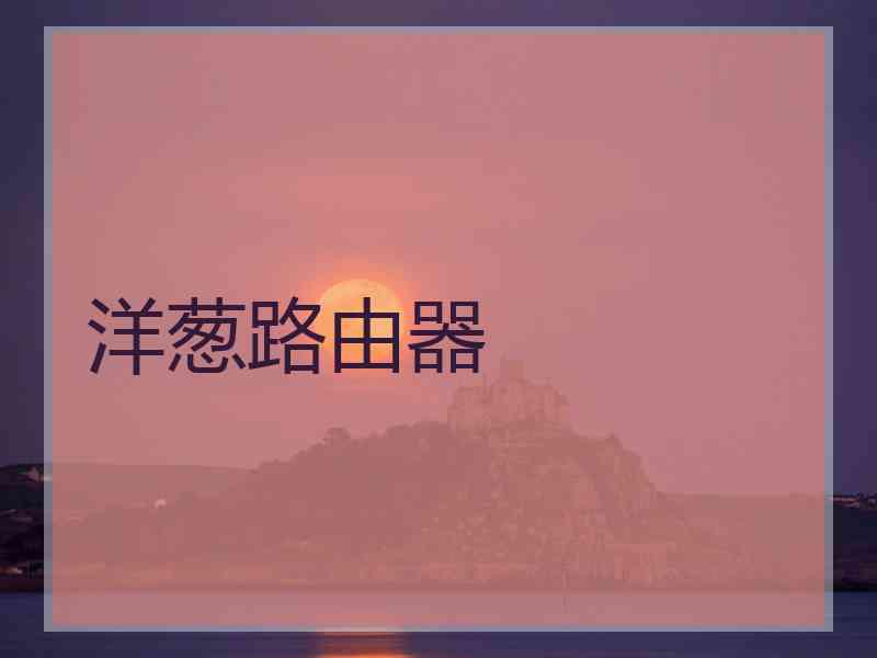 洋葱路由器