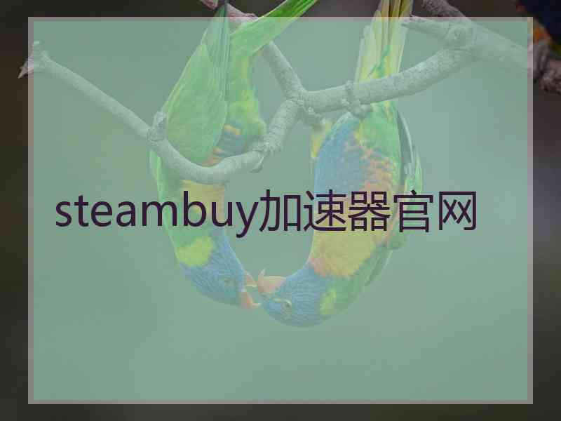 steambuy加速器官网