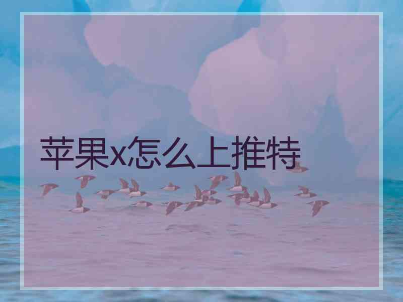苹果x怎么上推特