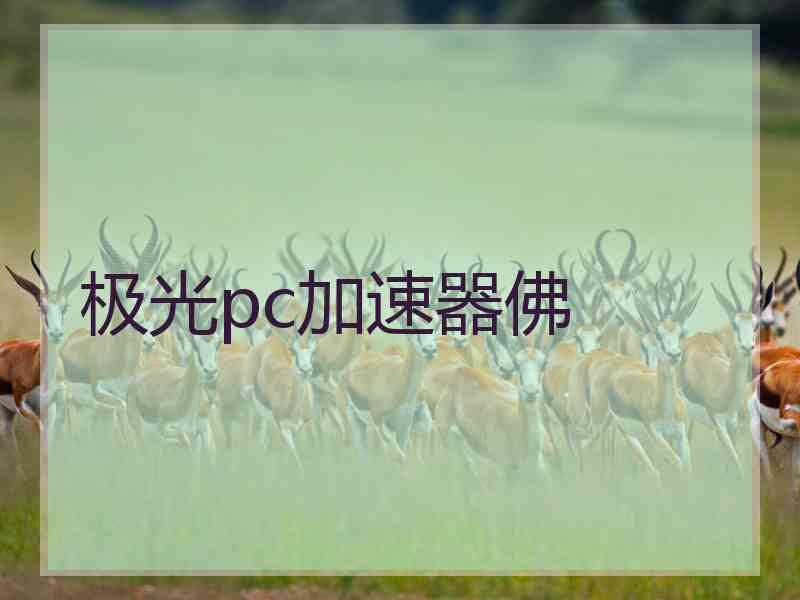 极光pc加速器佛