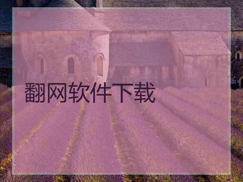 翻网软件下载