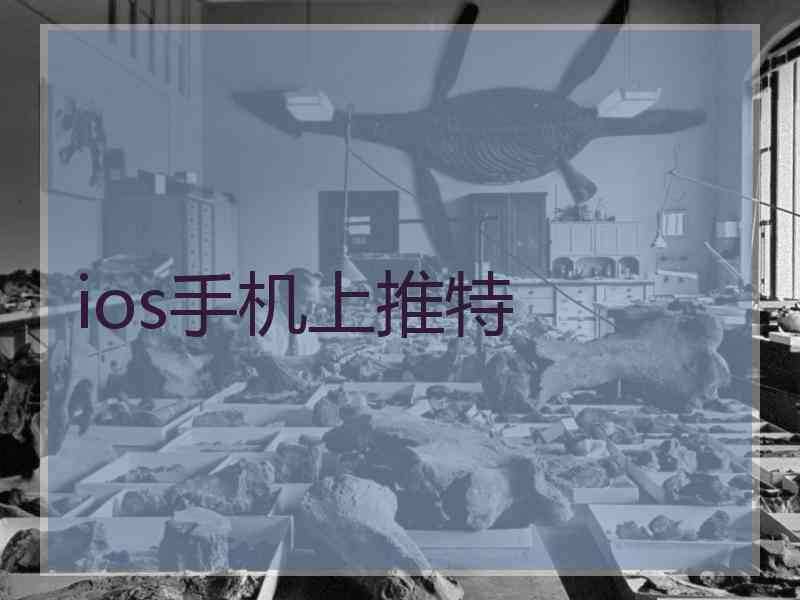 ios手机上推特