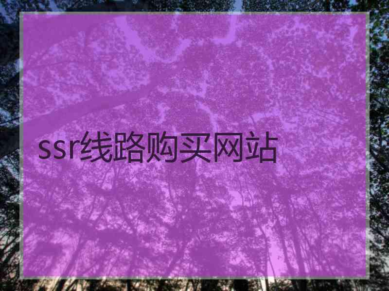 ssr线路购买网站