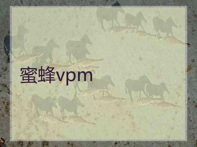 蜜蜂vpm