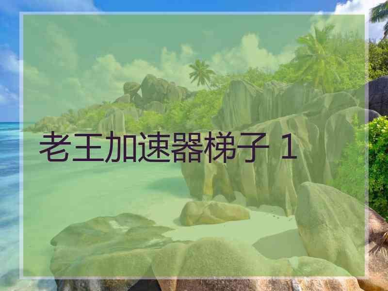 老王加速器梯子 1