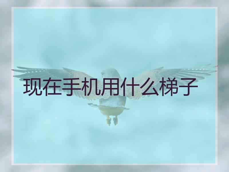 现在手机用什么梯子