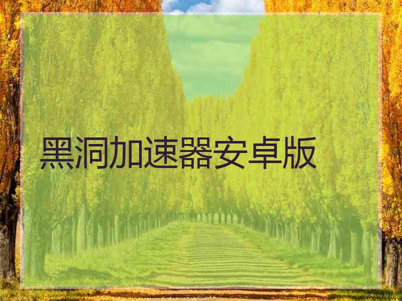 黑洞加速器安卓版