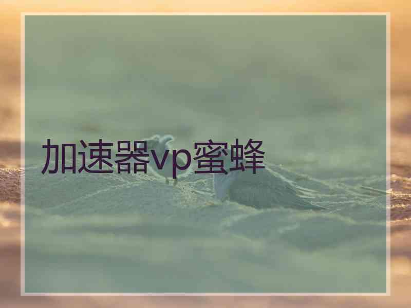 加速器vp蜜蜂
