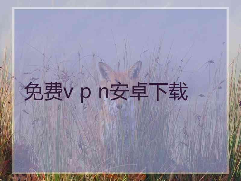 免费v p n安卓下载