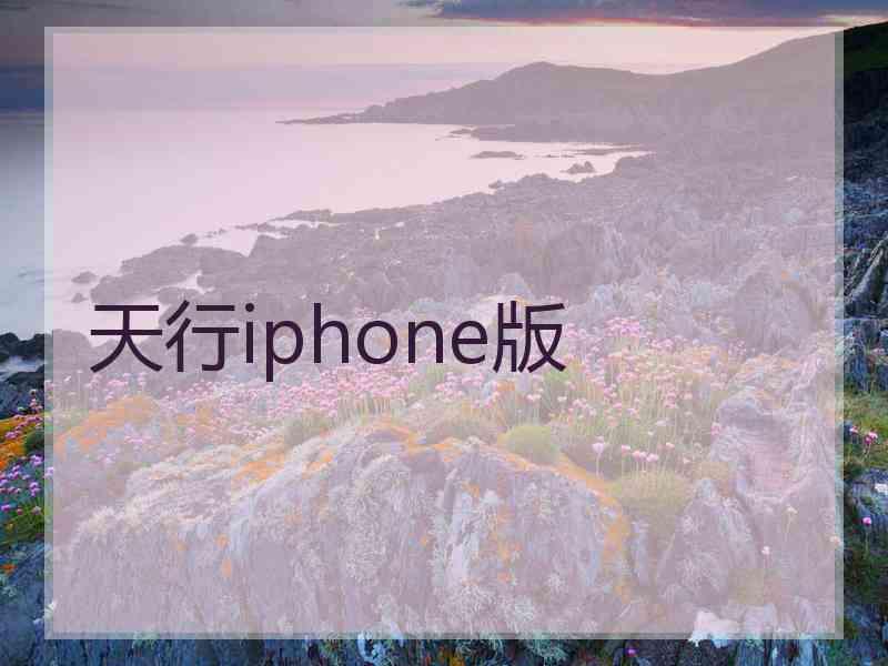 天行iphone版