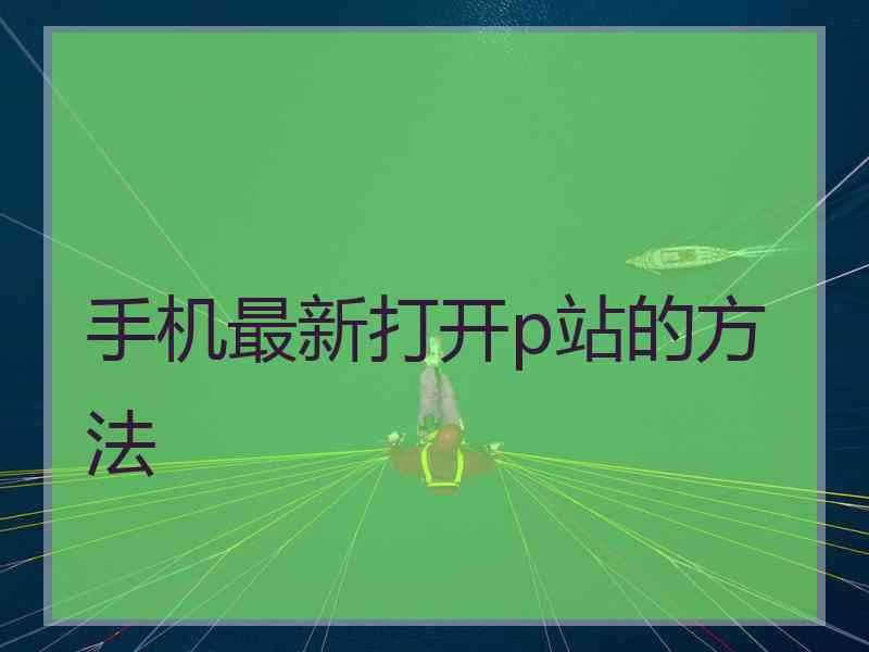 手机最新打开p站的方法