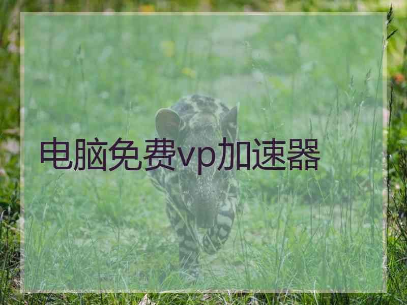 电脑免费vp加速器