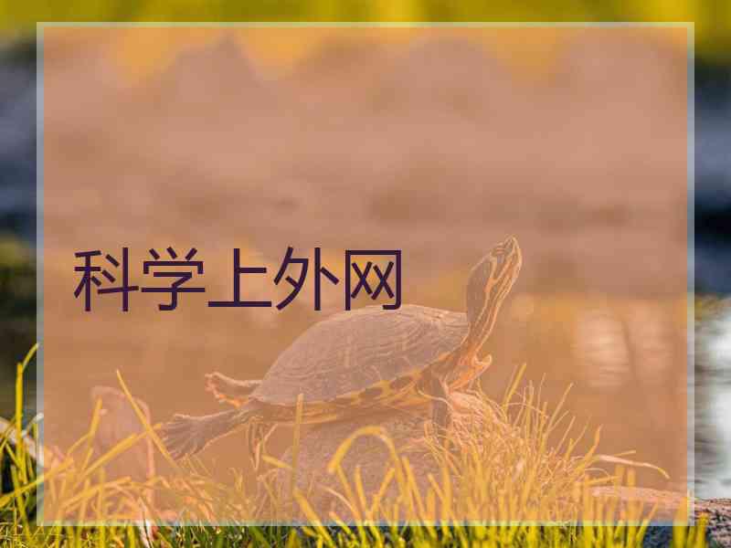科学上外网