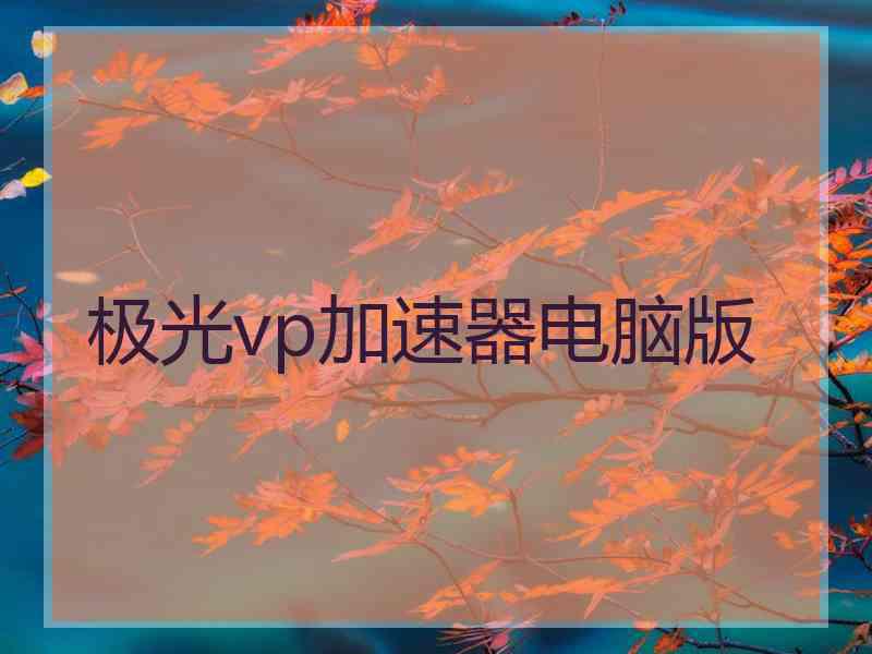极光vp加速器电脑版