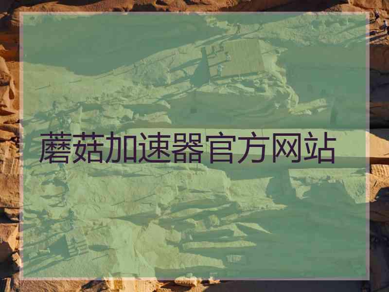 蘑菇加速器官方网站