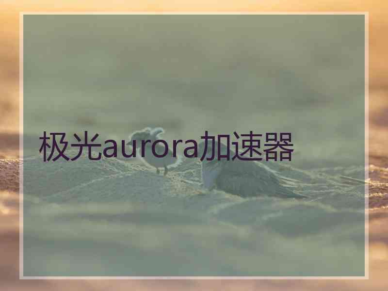 极光aurora加速器
