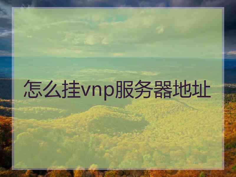 怎么挂vnp服务器地址