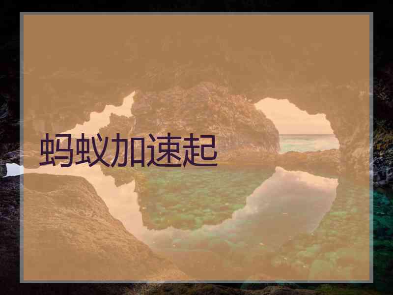蚂蚁加速起