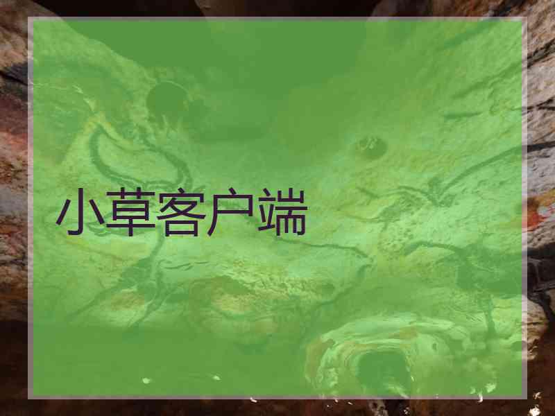 小草客户端