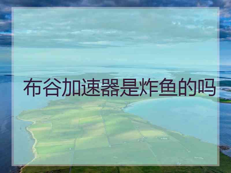 布谷加速器是炸鱼的吗