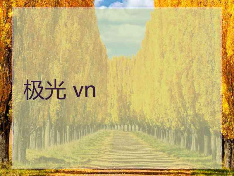 极光 vn