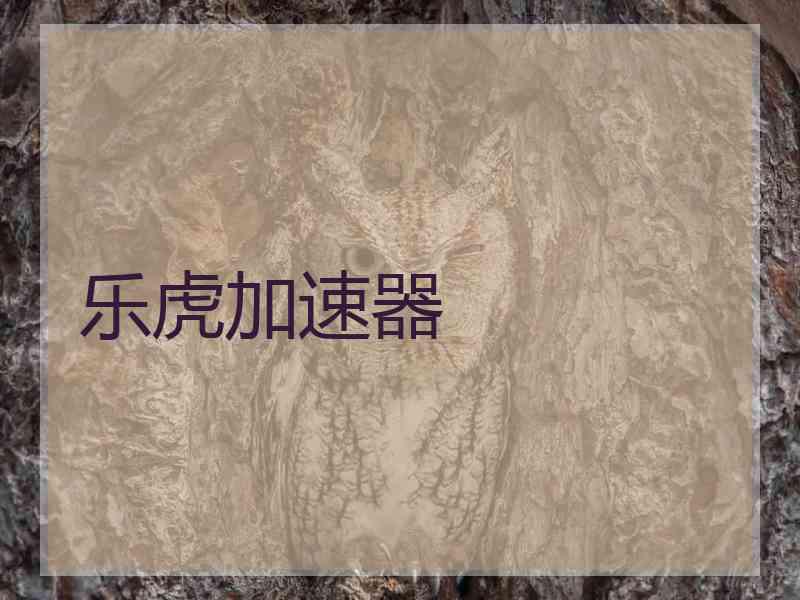 乐虎加速器