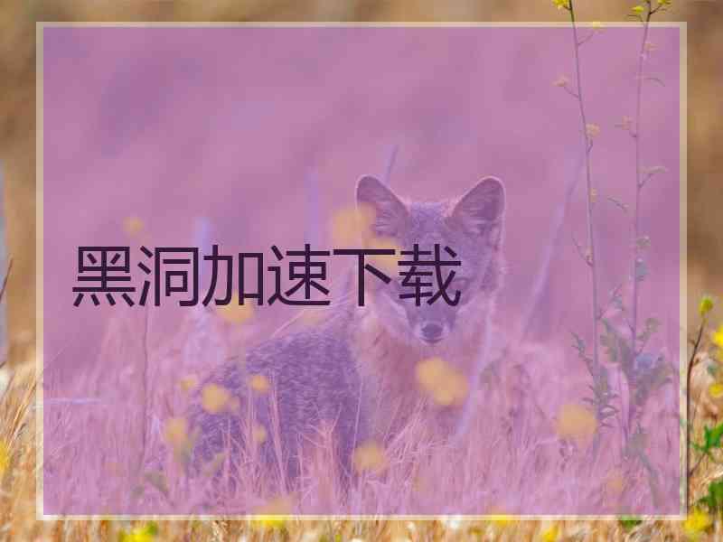 黑洞加速下载