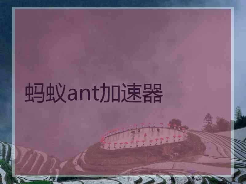 蚂蚁ant加速器