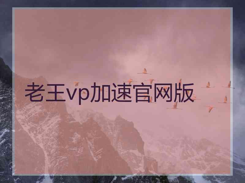 老王vp加速官网版