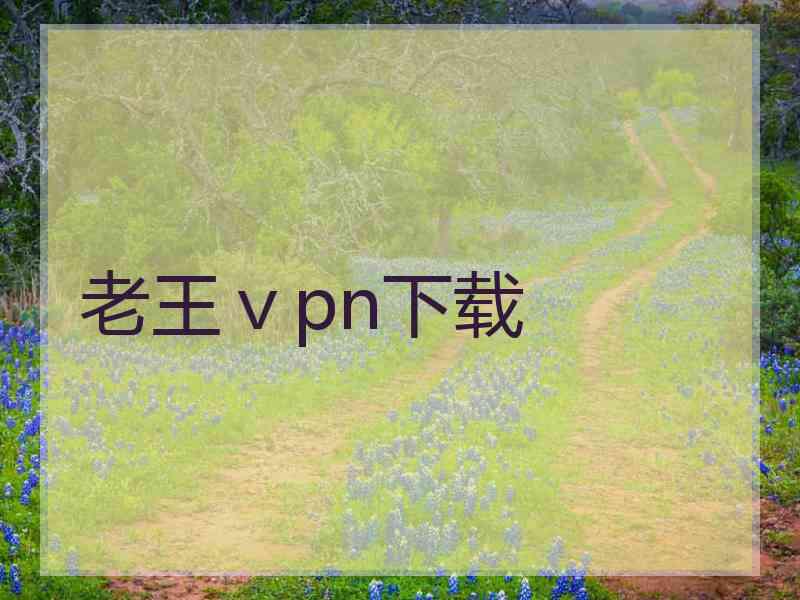 老王ⅴpn下载