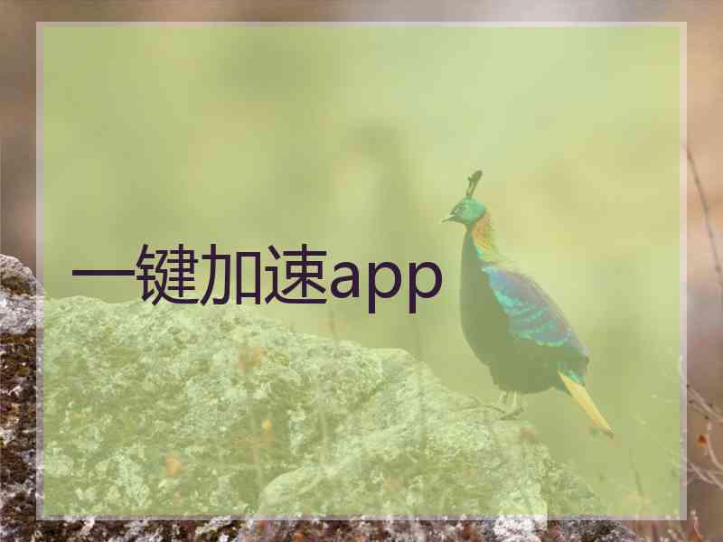 一键加速app