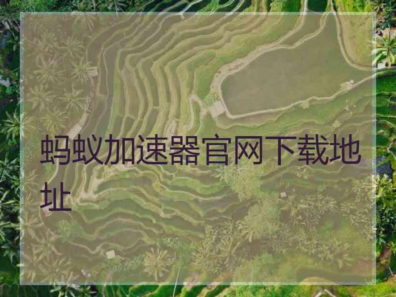 蚂蚁加速器官网下载地址