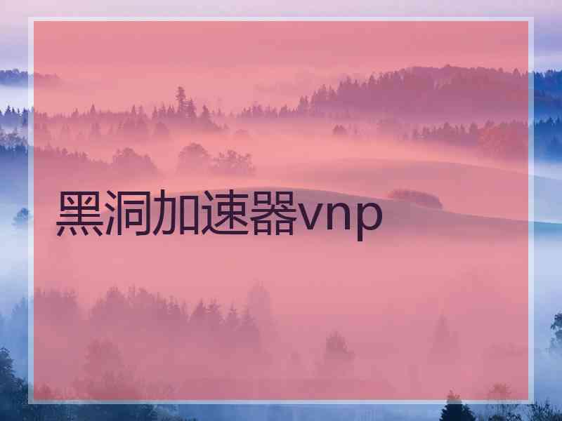 黑洞加速器vnp
