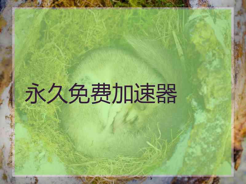 永久免费加速器