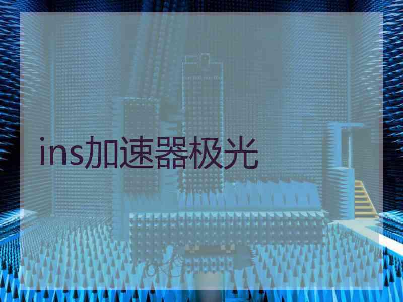 ins加速器极光