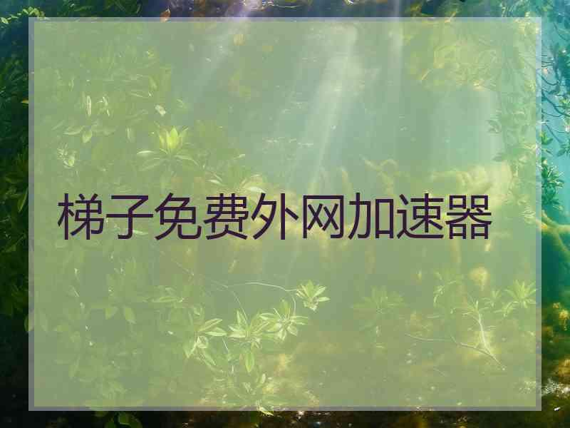 梯子免费外网加速器