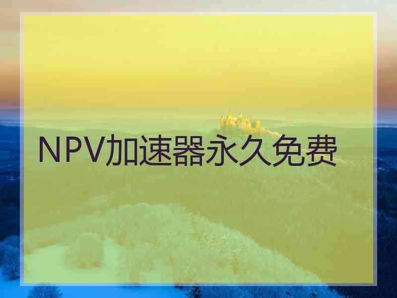 NPV加速器永久免费