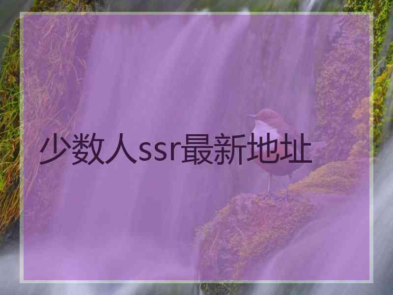 少数人ssr最新地址