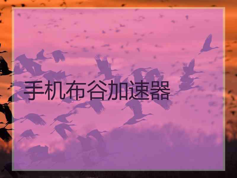 手机布谷加速器