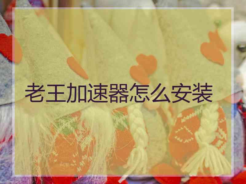 老王加速器怎么安装