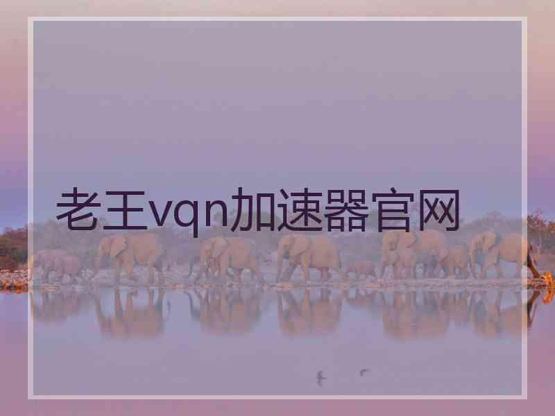 老王vqn加速器官网