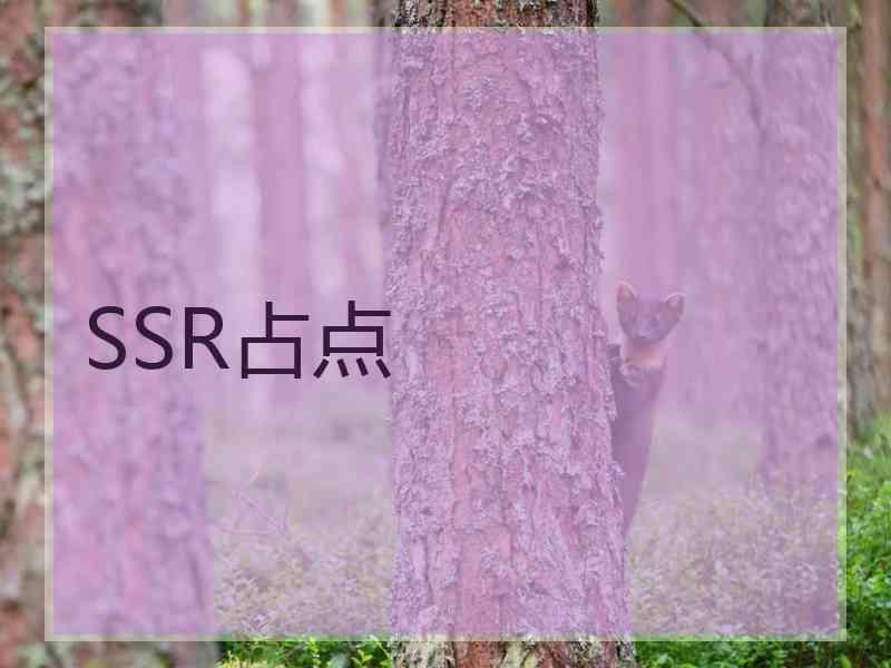SSR占点