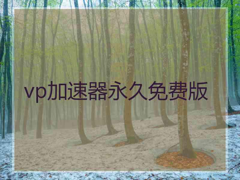 vp加速器永久免费版