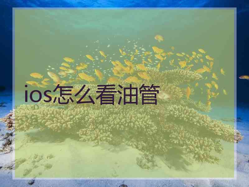 ios怎么看油管