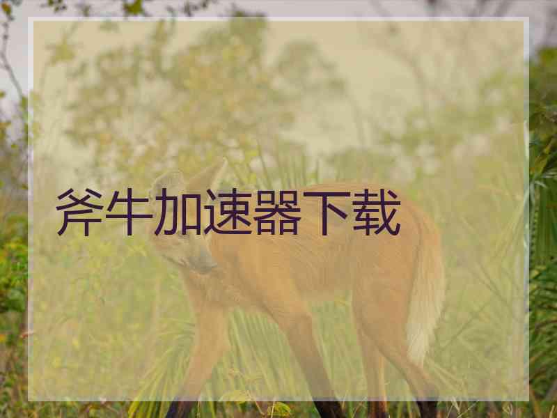 斧牛加速器下载