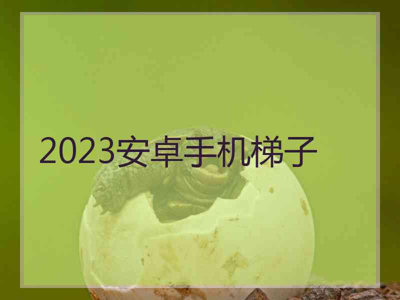 2023安卓手机梯子