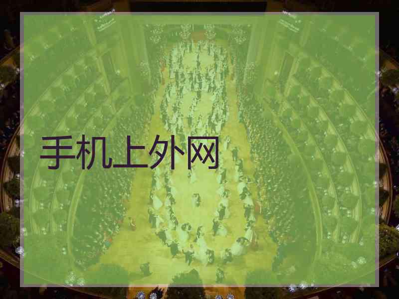 手机上外网