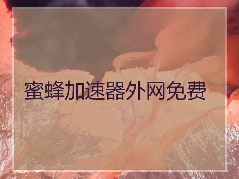 蜜蜂加速器外网免费